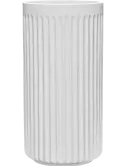 colourable_6TAUDOR14