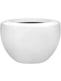 colourable_6UNC1126A