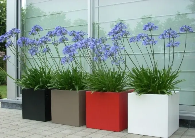 Polyester plantenbakken voor elk interieur of buitenruimte