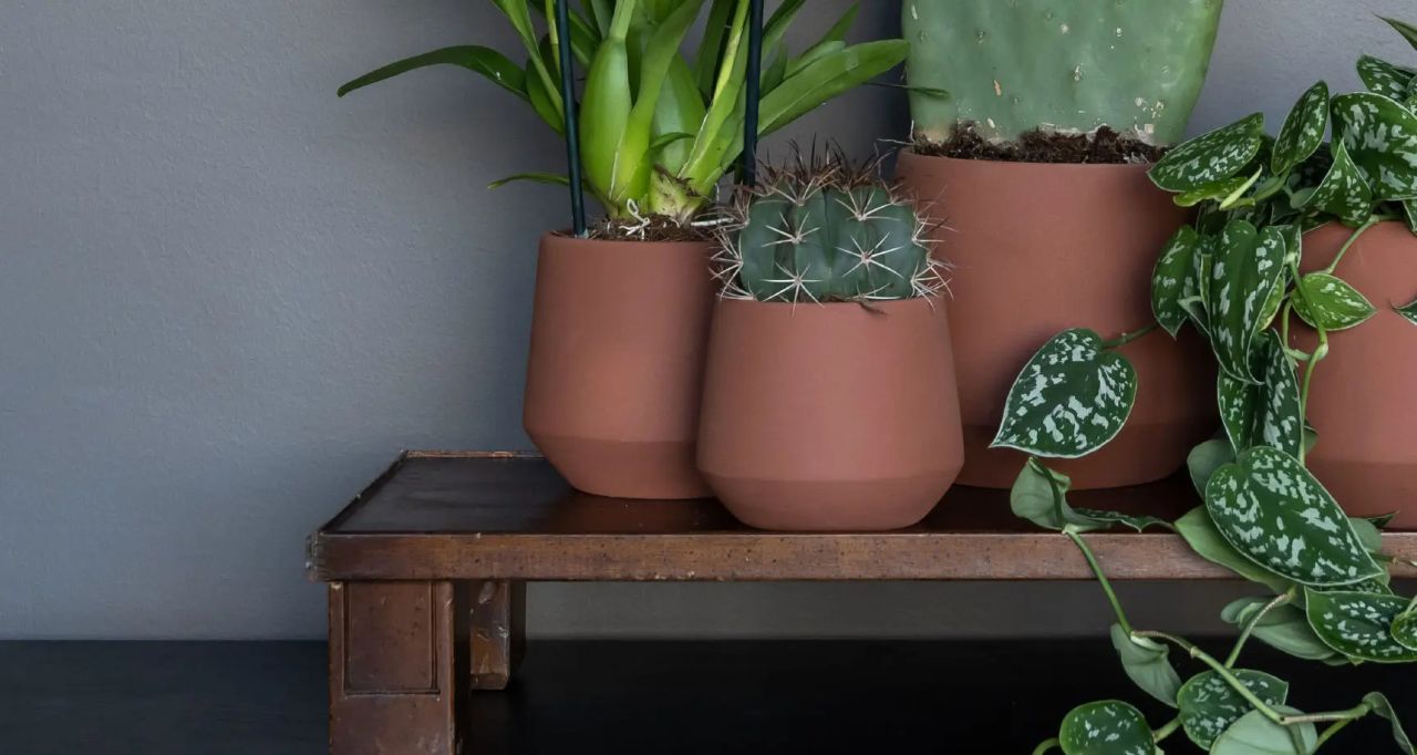 De plantenbakken, bekijk onze uitgebreide collectie