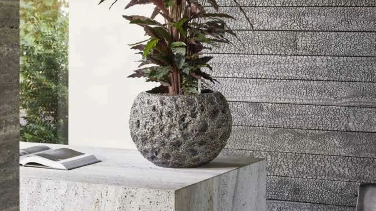 Plantenbakken binnen, voor elk interieur