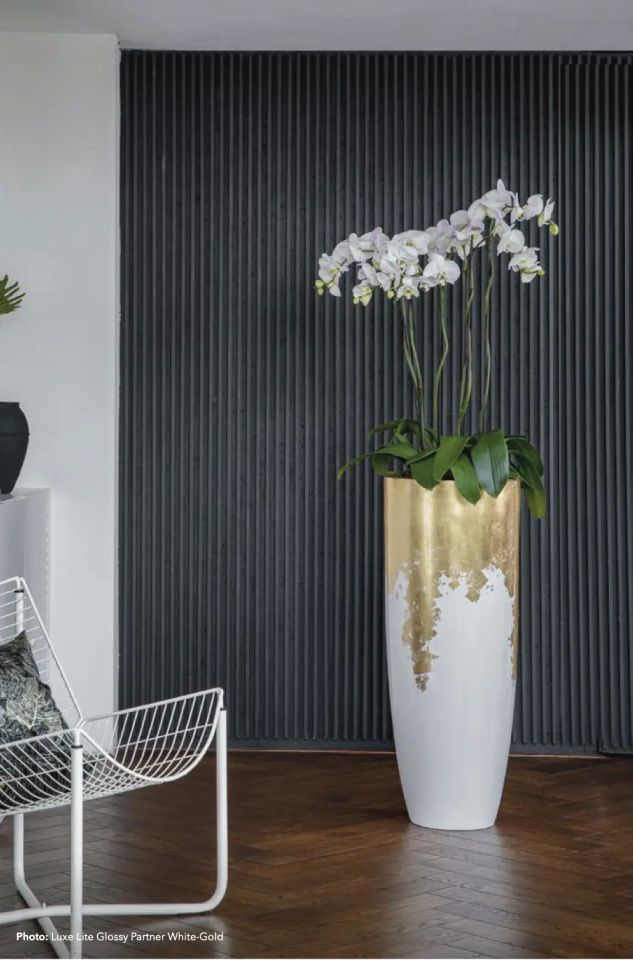 LUXE LITE COLLECTION va B AQ