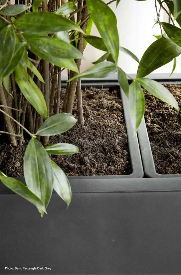 Goedkope plantenbakken in de aanbieding