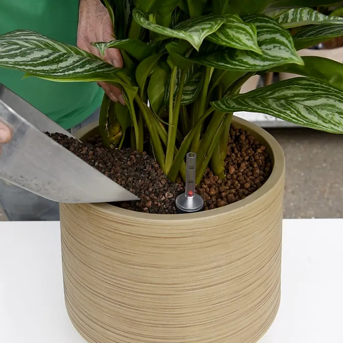 Hydrocultuur plantenbak 