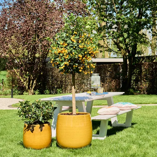 Balloon plantenbakken