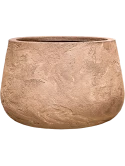 Baq Algar Darcy Low Brown