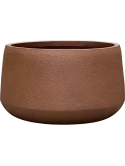 Antwerp Planter Rust