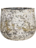 Baq Atlas Darcy White