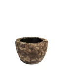 Bosco Bowl Plus Coconut