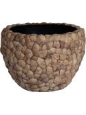 Bosco Bowl Large Coconut