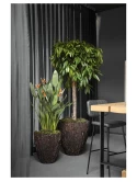 Bosco Pot Merah Bark