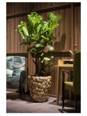 Bosco Pot Coconut Shell