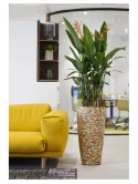 Caribbean Vase