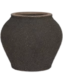 Mediterranean Zeus S Umber Brown