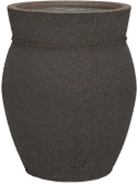 Mediterranean Apollo S Umber Brown