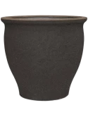 Mediterranean Poseidon L Umber Brown