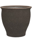 Mediterranean Poseidon S Umber Brown