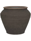 Mediterranean Eros L Umber Brown