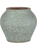 Mediterranean Zeus L Rustic Green
