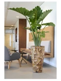 Grandis Vase