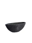 Graphic Oval Iron
