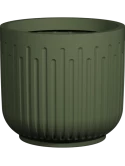 Ionic Arcus S, Sage Green