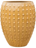 Laos Emperor Ochre