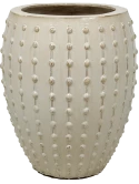 Laos Emperor Cream