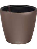 Lechuza Color Classico LS 43 All Inclusive Set Nootmuskaat