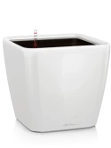 Lechuza Premium Quadro LS 50 All Inclusive Set Wit