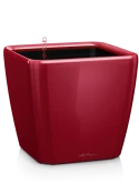 Lechuza Premium Quadro LS 50 All Inclusive Set Scharlakenrood Hoogglans