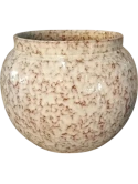 Anogo Pot Reactive Cream