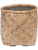 Bohemian Zayn XXS Bamboo Zayn XXS Bamboo