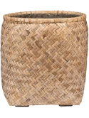 Bohemian Zayn M Bamboo