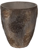 Oyster Bernd M Imperial Brown