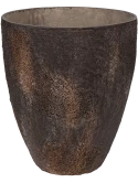 Oyster Bernd L Imperial Brown