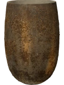 Oyster Belon L Imperial Brown