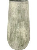 Oyster Nax M, Imperial White