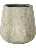 Oyster Pax M, Imperial White