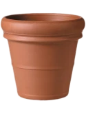 Terra Cotta Doppio Bordo Doppio Bordo