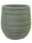 Baq Tornado Darcy Green