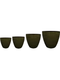 Alisa Pot Moss (set van 4)