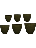 Alisa Pot Moss (set van 6) Pot Moss (set van 6)