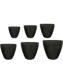 Alisa Pot Pine (set van 6)