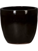 Plain Couple Black Shiny