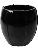 Moda Emperor Black Shiny Emperor Black Shiny