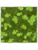 Mosschilderij MDF RAL 9010 Zijdeglans 30% Bol- en 70% Platmos