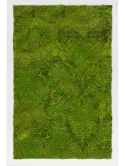 Mosschilderij MDF RAL 9010 Zijdeglans 100% Platmos