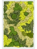 Mosschilderij MDF RAL 9010 Zijdeglans 30% Bolmos 70% Rendiermos (Mix)