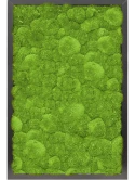 Mosschilderij MDF RAL 9005 Zijdeglans 100% Bolmos